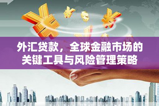 东坡外汇贷款，全球金融市场的关键工具与风险管理策略