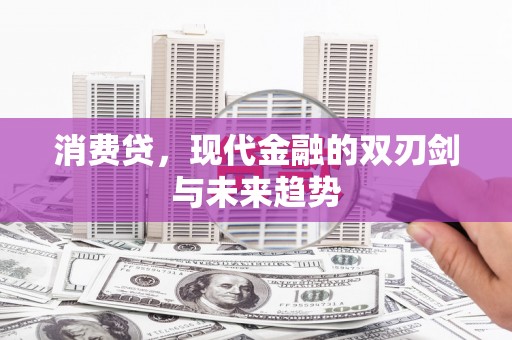 东坡消费贷，现代金融的双刃剑与未来趋势
