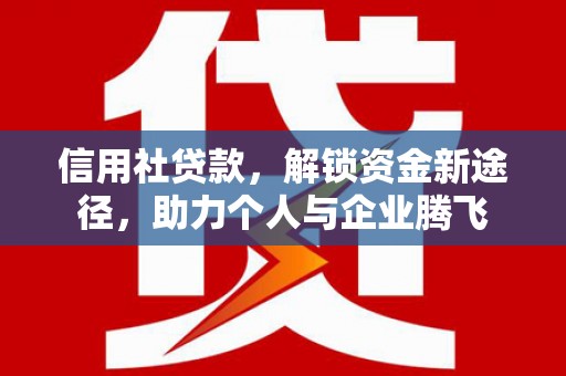 东坡信用社贷款，解锁资金新途径，助力个人与企业腾飞