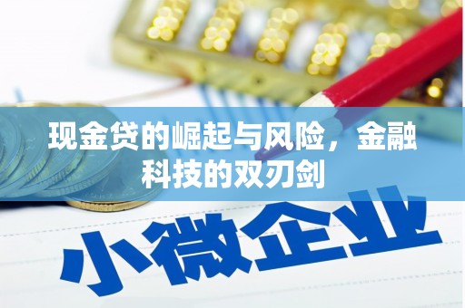 东坡现金贷的崛起与风险，金融科技的双刃剑