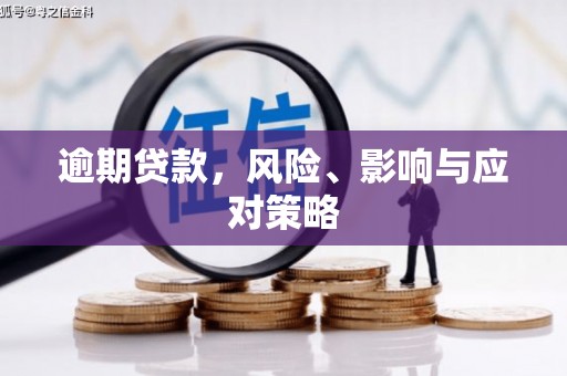 东坡逾期贷款，风险、影响与应对策略