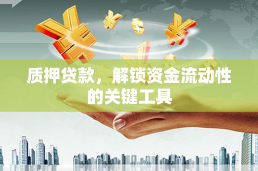 东坡质押贷款，解锁资金流动性的关键工具