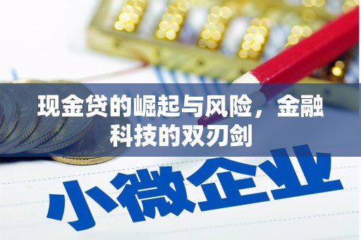 东坡现金贷的崛起与风险，金融科技的双刃剑