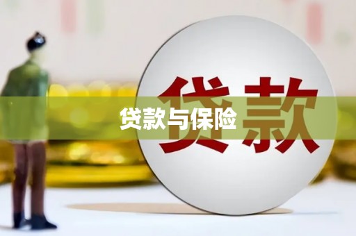 东坡贷款与保险