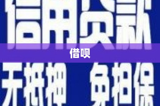 东坡借呗