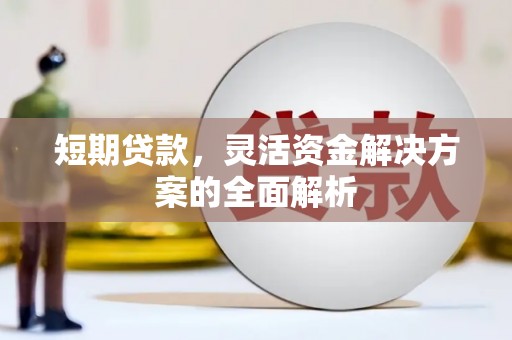 东坡短期贷款，灵活资金解决方案的全面解析