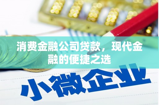 东坡消费金融公司贷款，现代金融的便捷之选