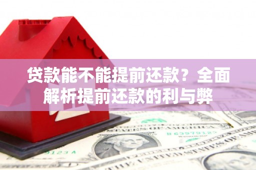 东坡贷款能不能提前还款？全面解析提前还款的利与弊
