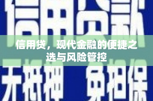 东坡信用贷，现代金融的便捷之选与风险管控