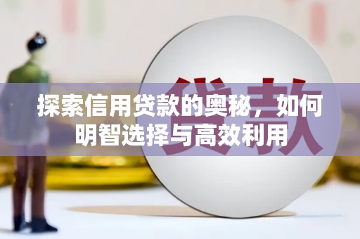 东坡探索信用贷款的奥秘，如何明智选择与高效利用