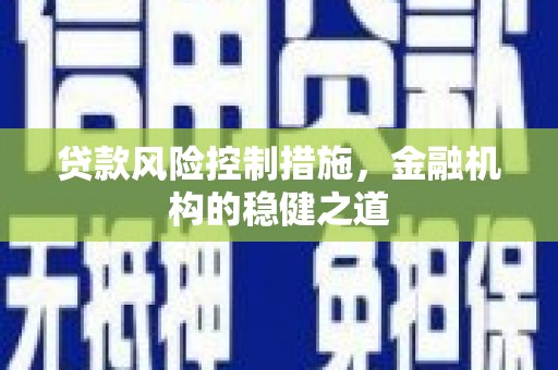 东坡贷款风险控制措施，金融机构的稳健之道
