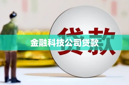 东坡金融科技公司贷款