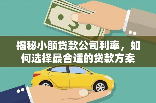 东坡揭秘小额贷款公司利率，如何选择最合适的贷款方案