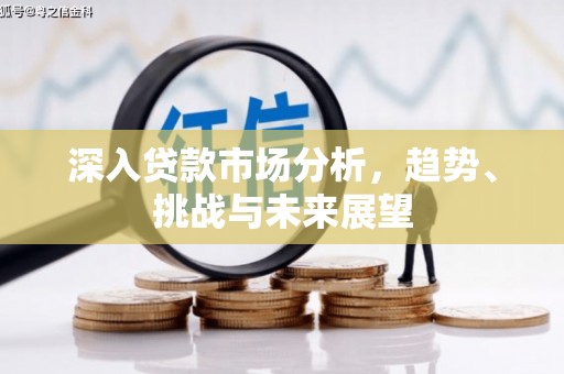 东坡深入贷款市场分析，趋势、挑战与未来展望