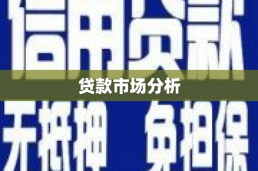 东坡贷款市场分析