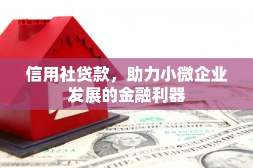 东坡信用社贷款，助力小微企业发展的金融利器