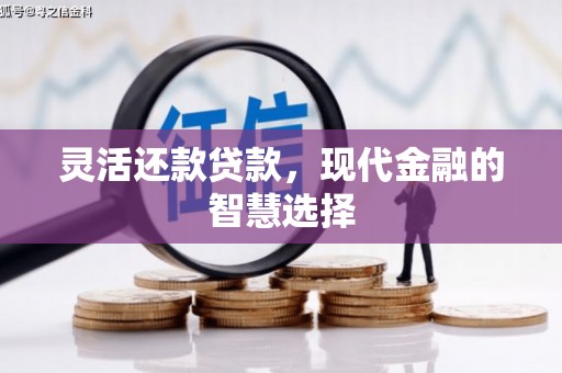 东坡灵活还款贷款，现代金融的智慧选择