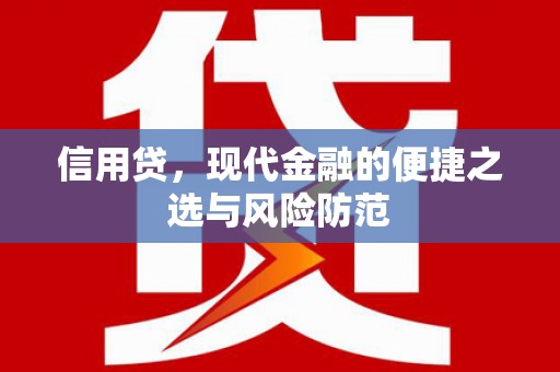 东坡信用贷，现代金融的便捷之选与风险防范