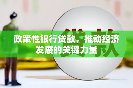东坡政策性银行贷款，推动经济发展的关键力量