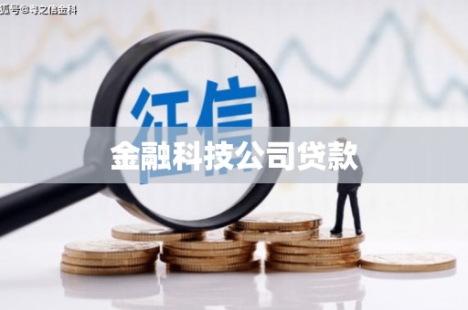 东坡金融科技公司贷款