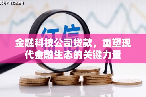 东坡金融科技公司贷款，重塑现代金融生态的关键力量
