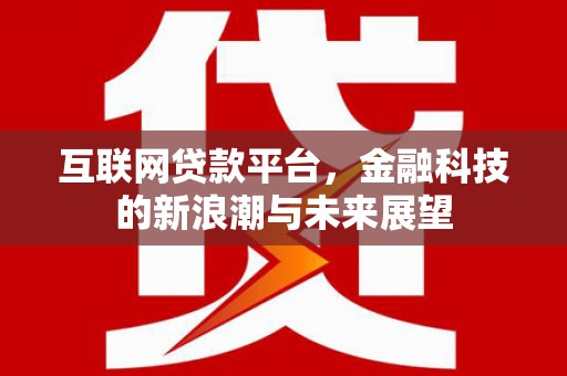 东坡互联网贷款平台，金融科技的新浪潮与未来展望