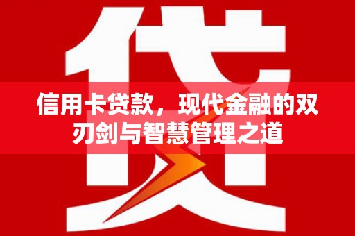 东坡信用卡贷款，现代金融的双刃剑与智慧管理之道