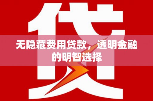 东坡无隐藏费用贷款，透明金融的明智选择