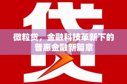 东坡微粒贷，金融科技革新下的普惠金融新篇章