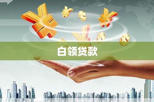 东坡白领贷款