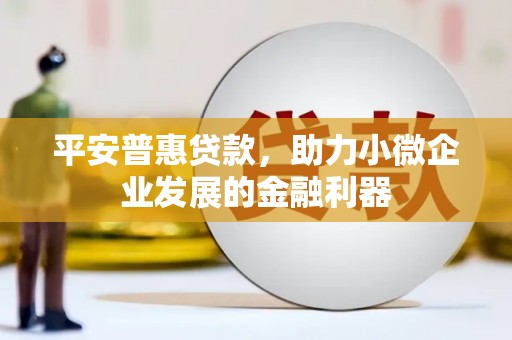 东坡平安普惠贷款，助力小微企业发展的金融利器