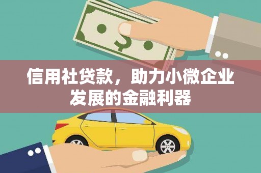 东坡信用社贷款，助力小微企业发展的金融利器