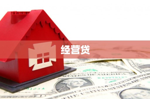 东坡经营贷