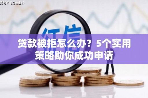 东坡贷款被拒怎么办？5个实用策略助你成功申请