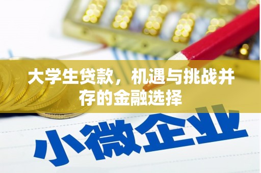 东坡大学生贷款，机遇与挑战并存的金融选择