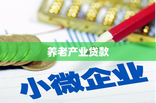 东坡养老产业贷款