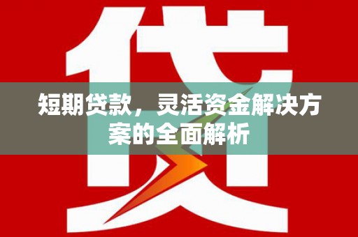东坡短期贷款，灵活资金解决方案的全面解析