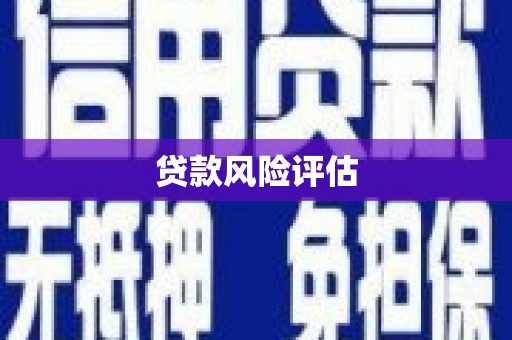 东坡贷款风险评估