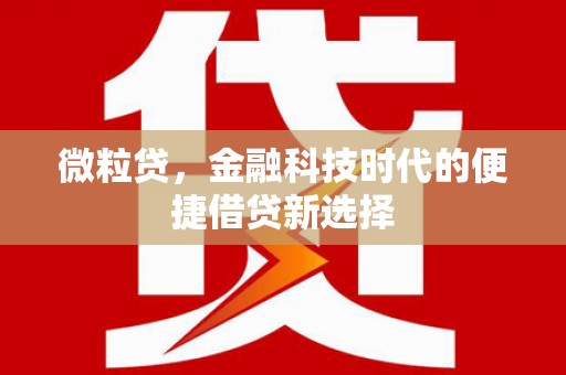 东坡微粒贷，金融科技时代的便捷借贷新选择