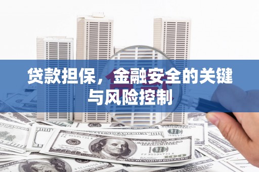 东坡贷款担保，金融安全的关键与风险控制