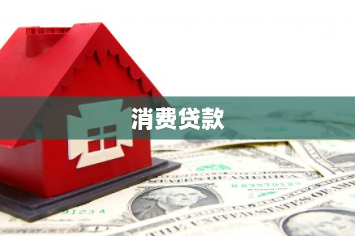 东坡消费贷款
