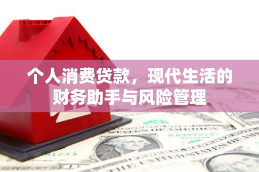 东坡个人消费贷款，现代生活的财务助手与风险管理