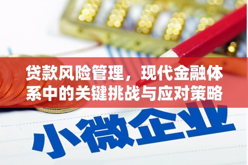 东坡贷款风险管理，现代金融体系中的关键挑战与应对策略