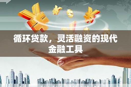 东坡循环贷款，灵活融资的现代金融工具