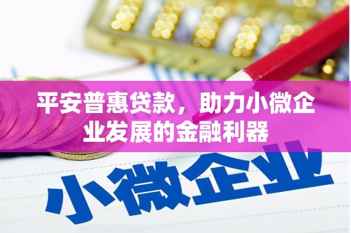 东坡平安普惠贷款，助力小微企业发展的金融利器