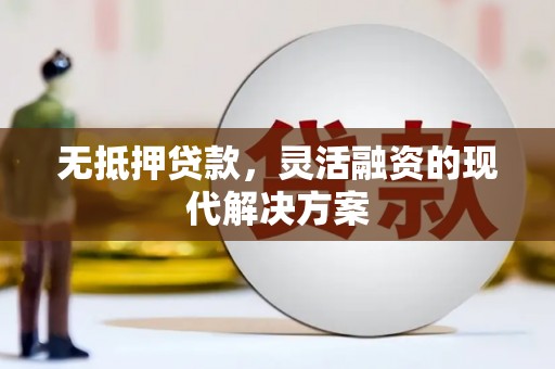 东坡无抵押贷款，灵活融资的现代解决方案