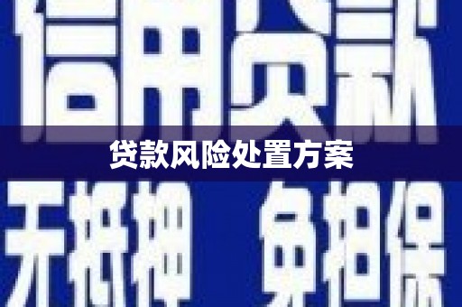 东坡贷款风险处置方案