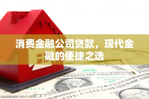 东坡消费金融公司贷款，现代金融的便捷之选