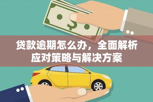 东坡贷款逾期怎么办，全面解析应对策略与解决方案