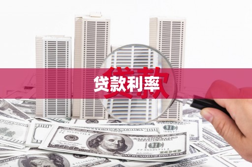 东坡贷款利率